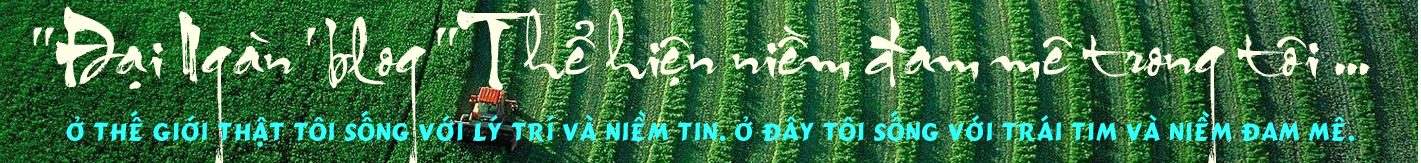 "ĐẠI NGÀN BLOG" Thể hiện niềm đam mê trong tôi,...