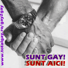 Sunt Gay! Sunt aici!