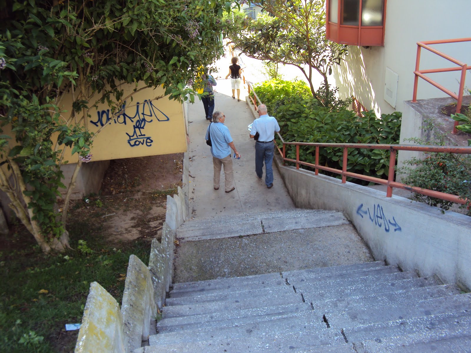 [DSC00162.JPG]