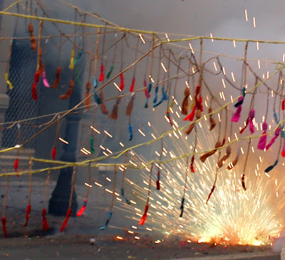 P3190583_mascleta.jpg?width=400