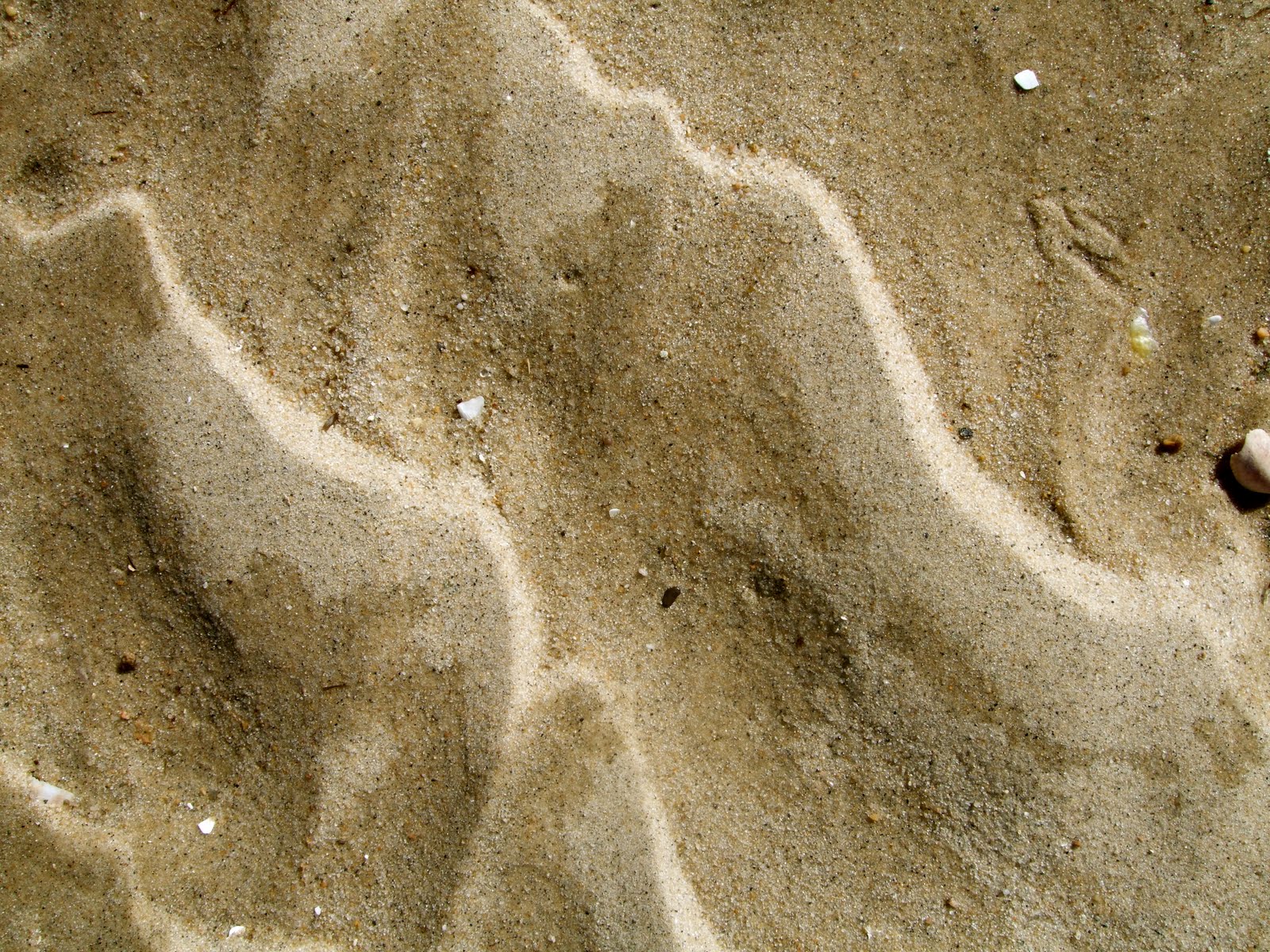 [DSCF0613.JPG]