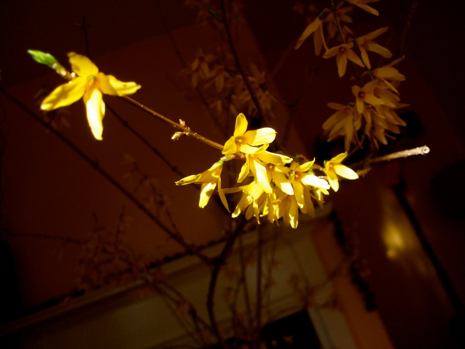 [DSCF0809.JPG]