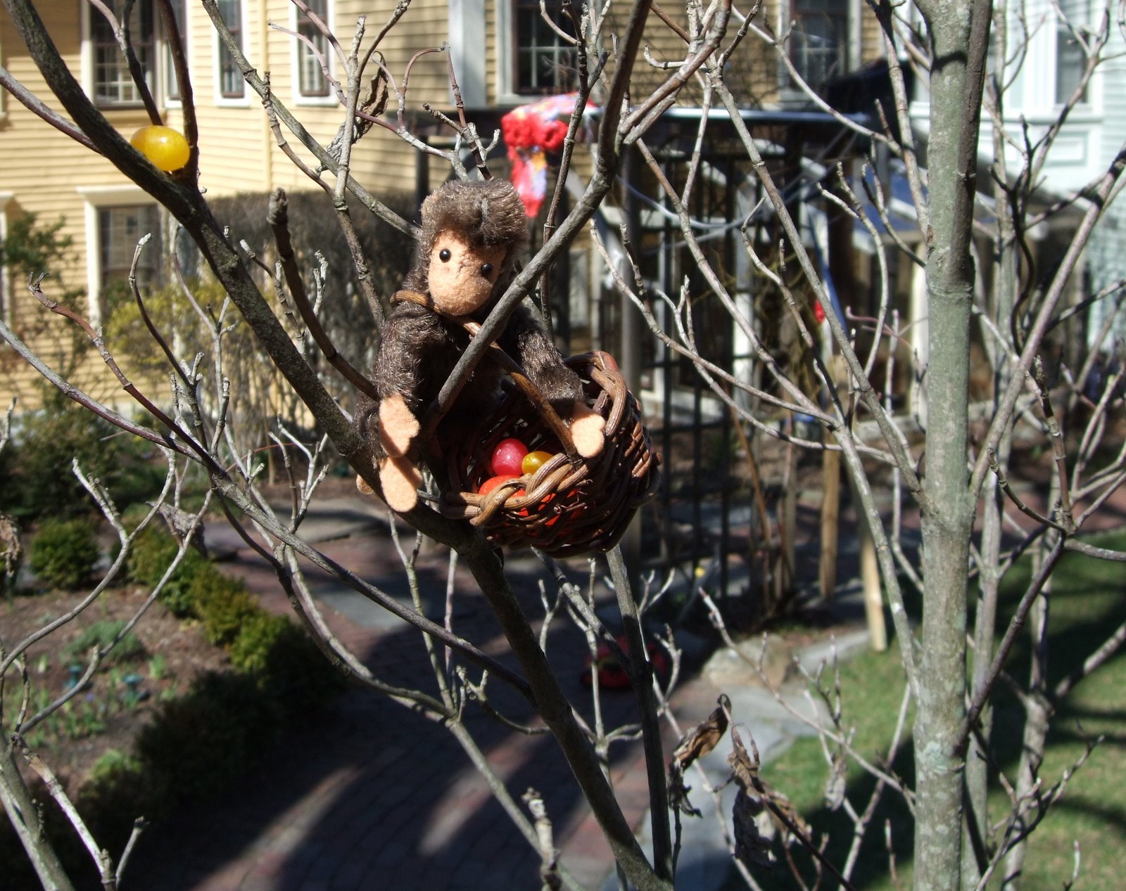[DSCF1268.JPG]
