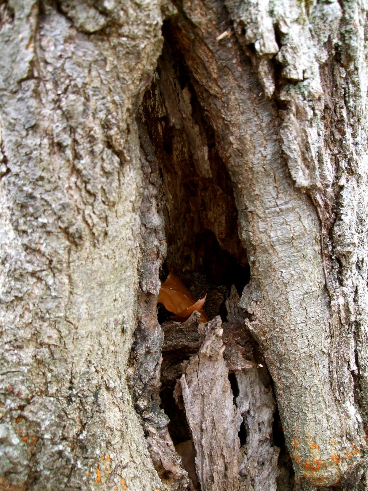 [DSCF7082.JPG]