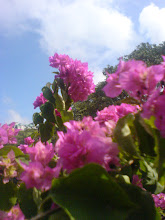 不負責任推薦區: [展覽 ] 輝煌時代－羅馬帝國特展～趕緊來趟不一樣的羅馬假期吧！