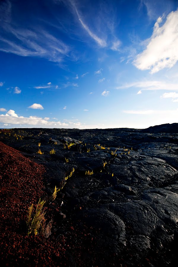 [lavafield01web.jpg]