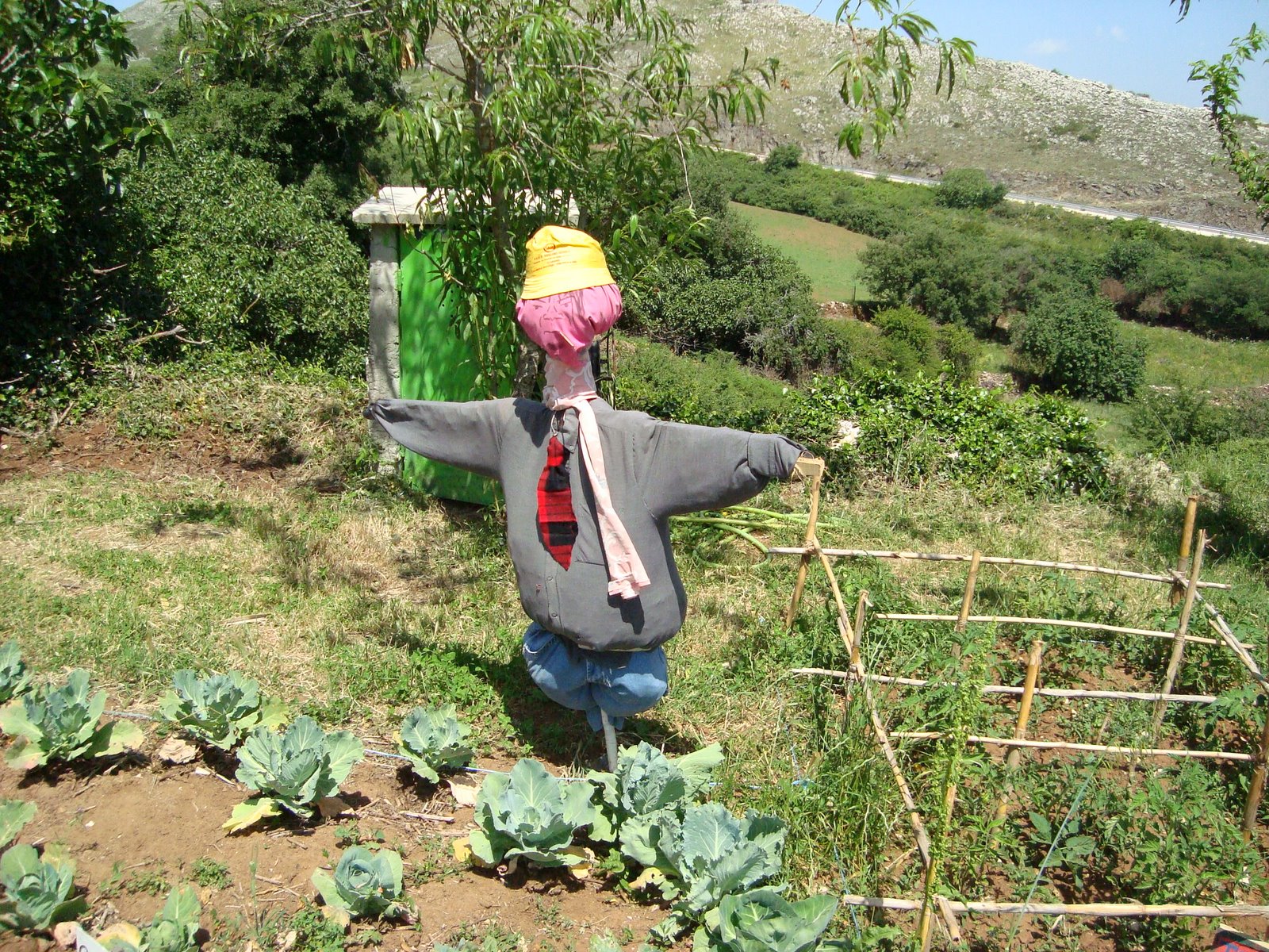 [DSC00552.JPG]