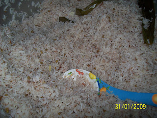 coach hobo malaysiakini