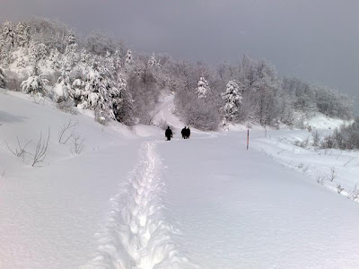 phoca thumb l 18022008036