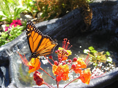 Friends of the Garden