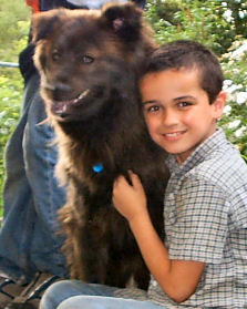 Bear