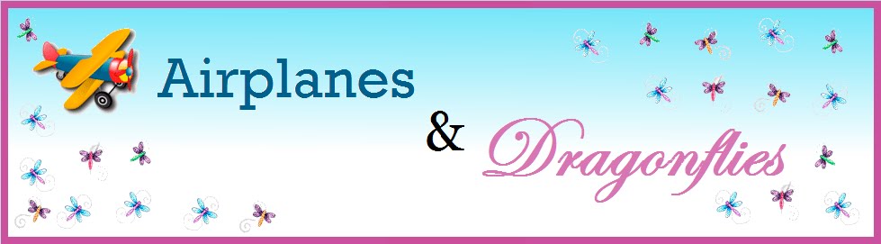 Airplanes and Dragonflies