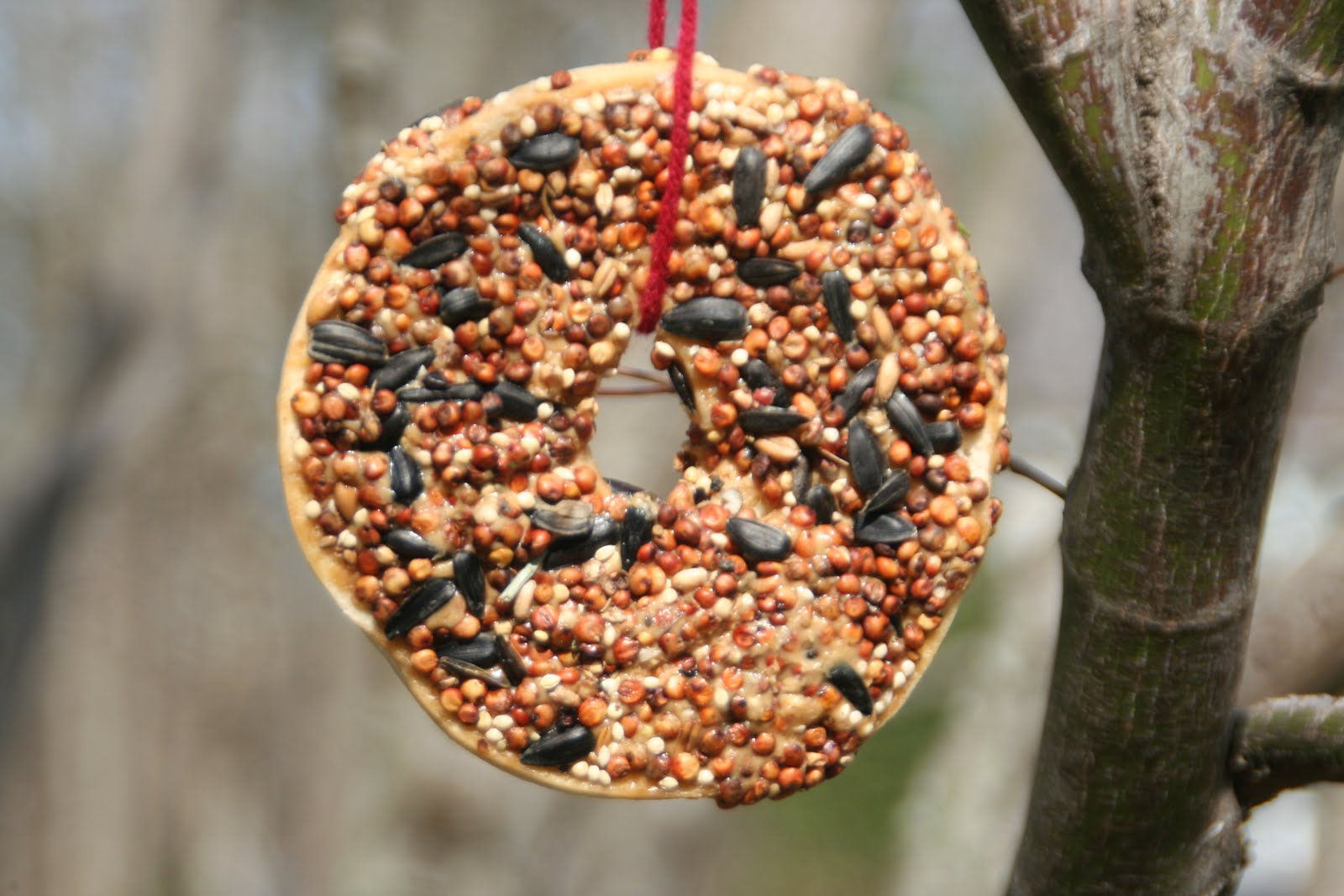 Simply Me Ryan's Bird Feeder