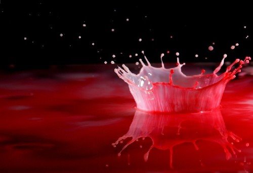 [red.bmp]