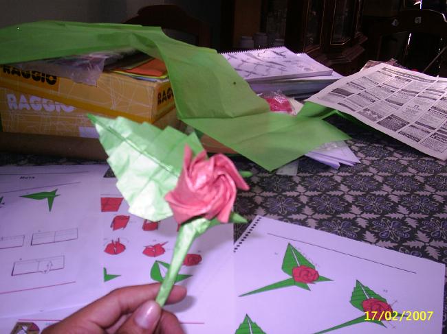 [ROSAS+PASO2.jpg]