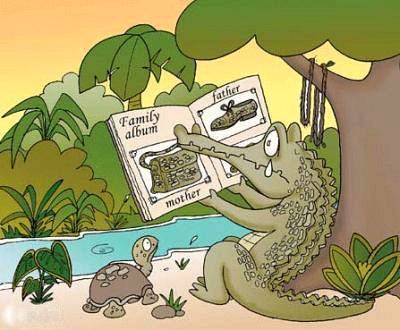 Funny Cartoon Funny Cartoon