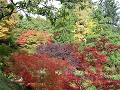 Butchard Gardens