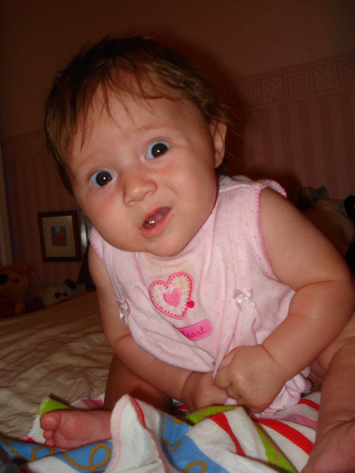 [DSC08862.JPG]