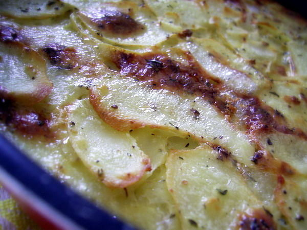 [gratin-bleu.JPG]