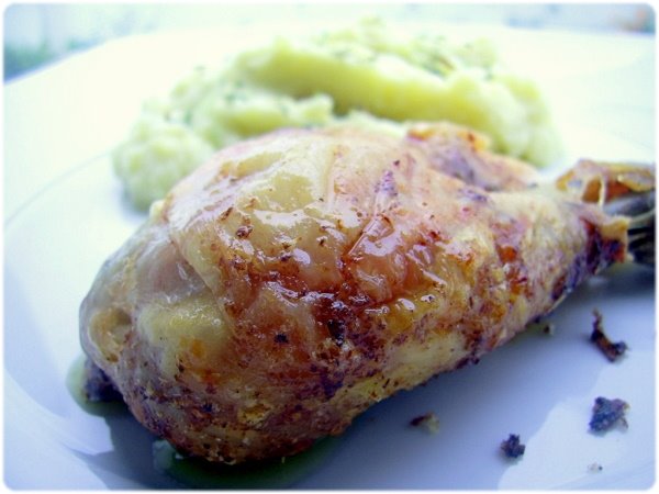 [frango-oregaos2.JPG]