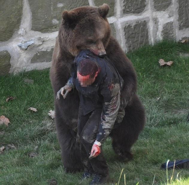 shocking things Bear's attack highly horrible