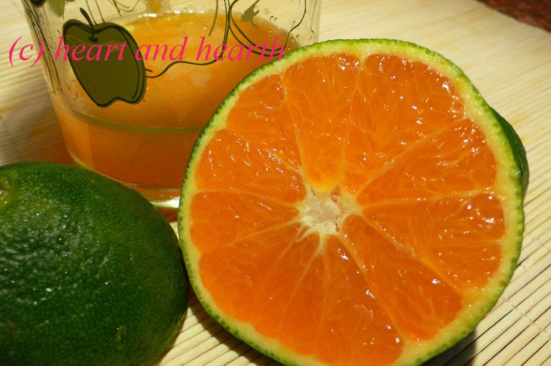 Heart and Hearth Photography Practice 2 Dalandan Plus a Tag