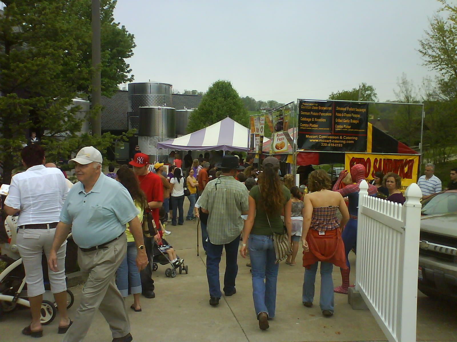 Dandelion Festival 2025 Ohio Zarla