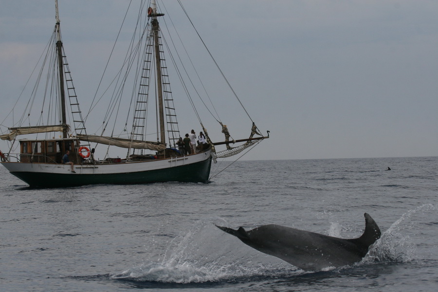 [IMG_0206_resize.JPG]