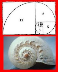 caracol