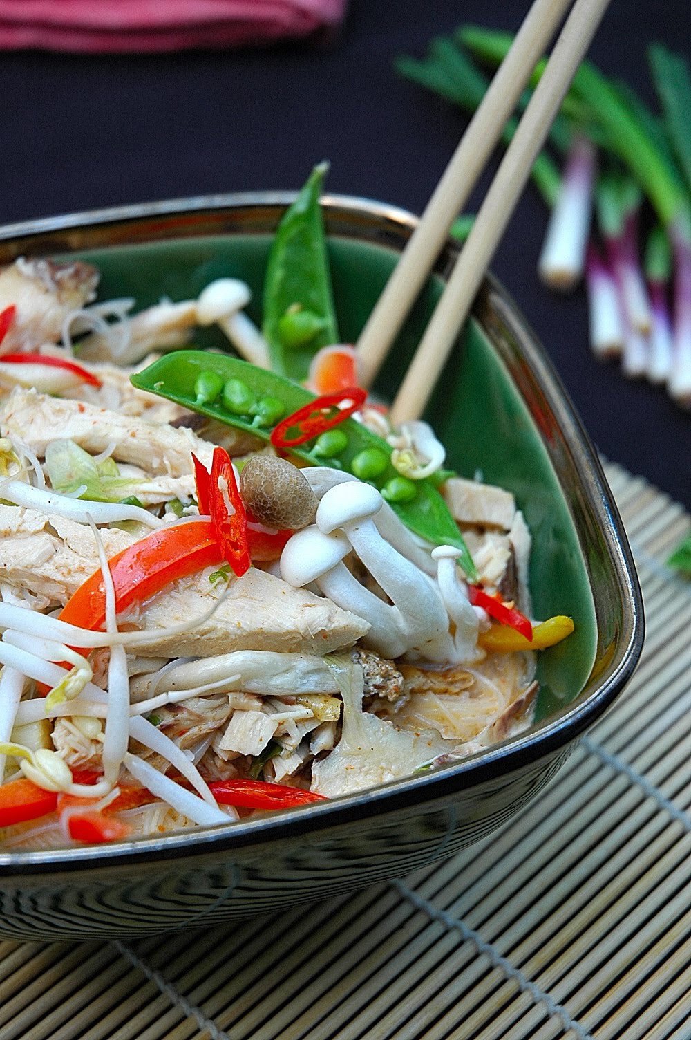 Coconut Chicken Noodle Broth My Easy Cooking