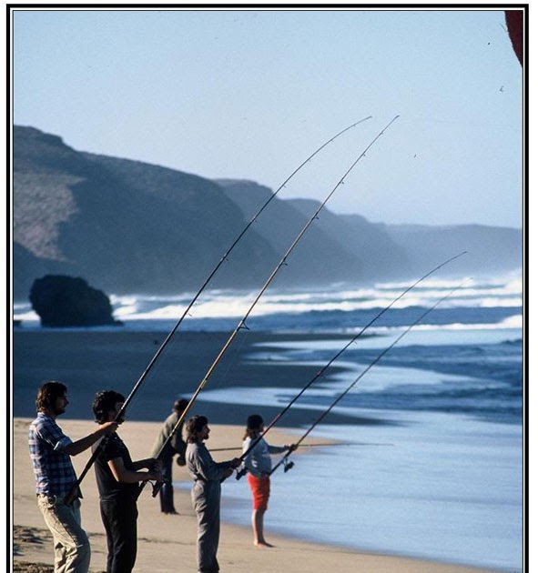 Five Tips for Beach Fishing Fishing Tackle & Stuff