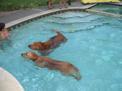 Visitors in Pool