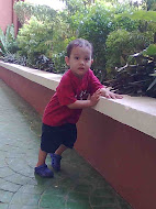 Adib Irfan