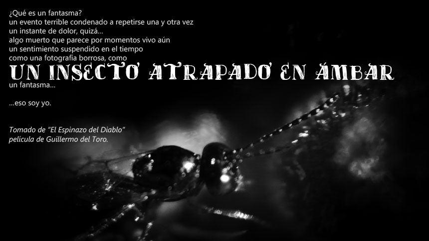 Un Insecto Atrapado en Ámbar