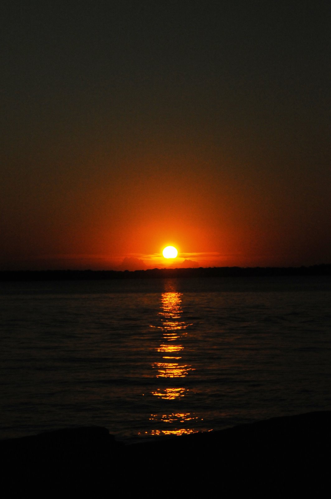 [DSC_1576.JPG]