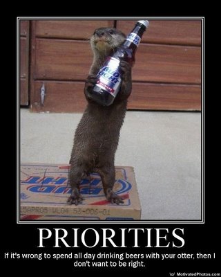 [OTTERS-priorities.jpg]