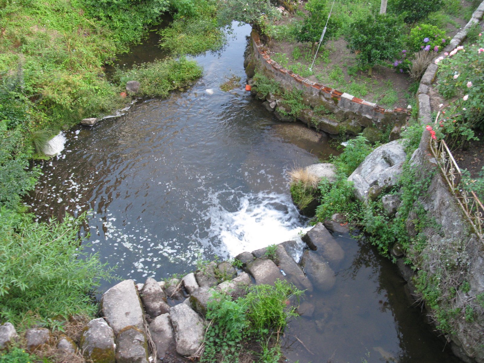 [IMG_7406.JPG]