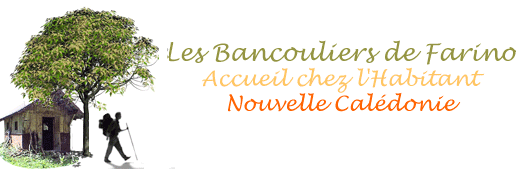 Les Bancouliers de Farino