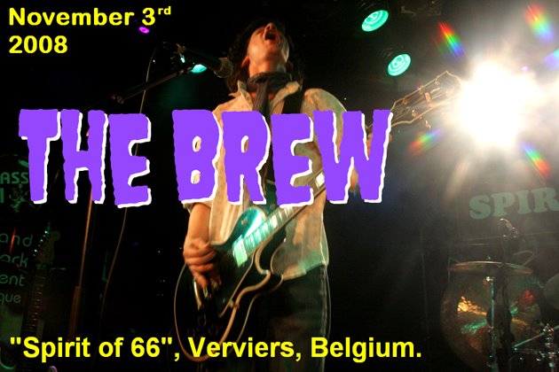 The Brew (03/11/08) at the "Spirit of 66" in Verviers, Belgium.