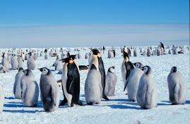 Photo Credit:US National Oceanic and Atmospheric Administration