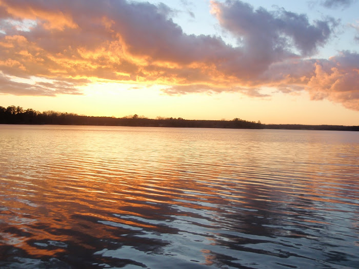 "To lead the orchestra, you have to turn your back on the crowd."  Max Lucado
