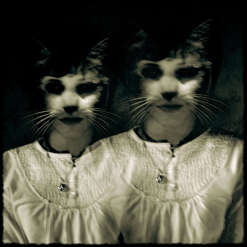 la nageuse Loin sous la surface une femme chimère