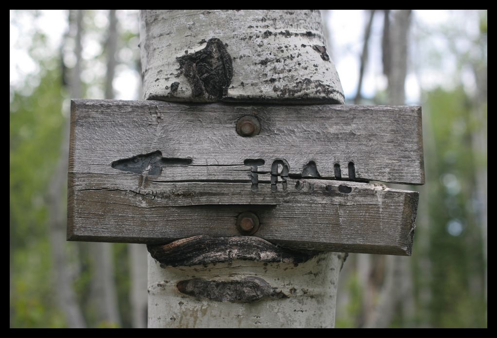 [trailsign.jpg]