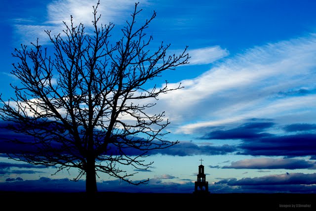 [IMG_5129_HDR_1_web.jpg]
