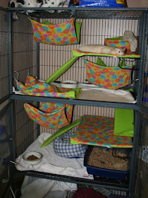 ferret bedding sets