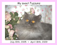 MAX'S FUZZY WUZZY BEAR
