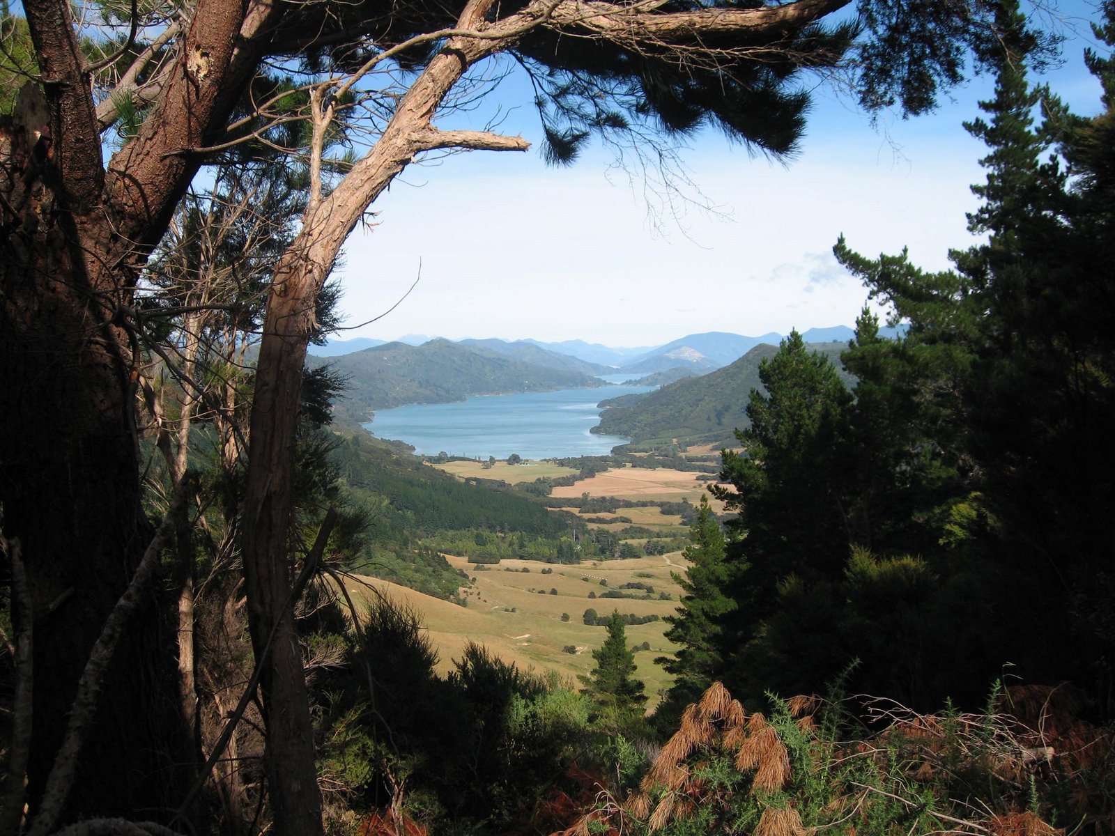 [Marlborough+Sound+107.jpg]