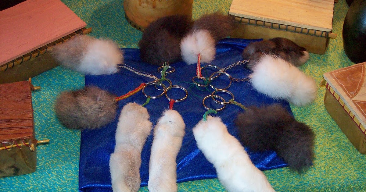 artesanias en cuero de conejo Patas y colas de conejos disecadas con