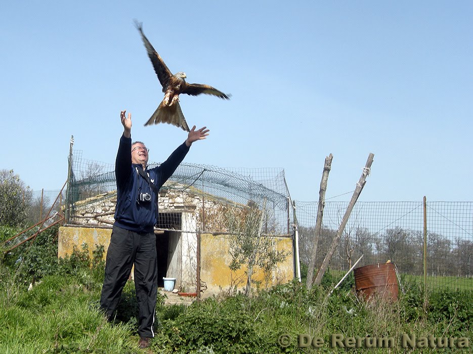 [Tricarico+Nibbio_DSCN8395.jpg]