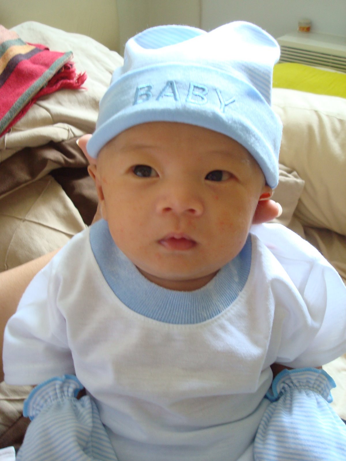 [DSC02943.JPG]